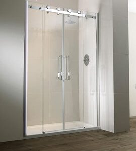 100cm Shower Door - Model P04