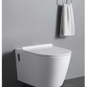 Premium Executive Conduit Toilet - Model BT365-TCT5