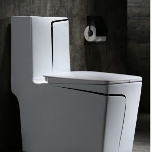 Executive Italian Designer Water Closet in Black-L - Model BT-CC27