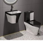 Black and White Luxury WC with Coordinated Wall-Hung Basin