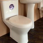 Vstar Bonjoy Semi-Executive Water Closet